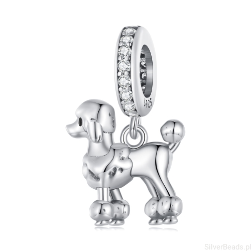 Srebrny charms pudel zawieszka do bransoletek G567