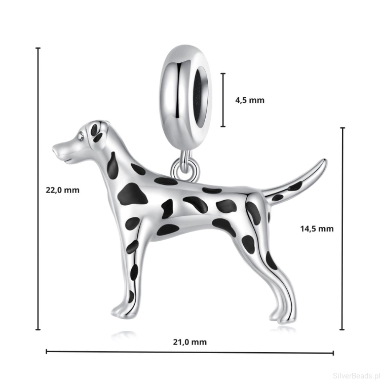wymiary zawieszki charms ze srebra próby 925 charmsa psa Dalmatyńczyka G568