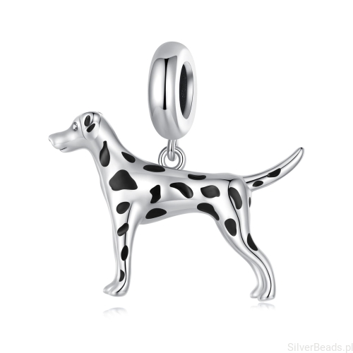 Srebrny charms pies Dalmatyńczyk G568
