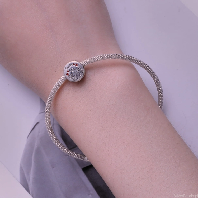 Charms rodzina do Pandora oraz innych bransoletek modułowych znanych producentów