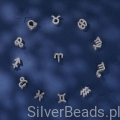 Srebrna kolekcja koralików charms znaków zodiaku.jpg