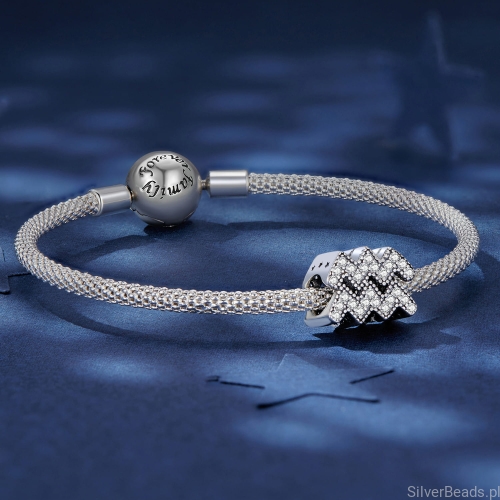 Srebrna bransoletka modułowa typu Pandora i charms Znak zodiaku Wodnik ozdobiony kryształkami.