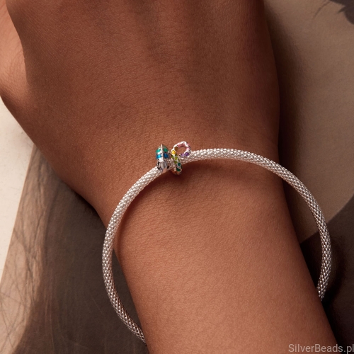 Uniwersalny charms kameleon do bransoletek modułowych Pandora, Apart, Yes, Kruk i innych.