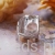 Charms ze srebra próby 925 opalizujący kryształ z ważką