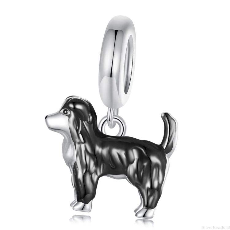 Piesek rasy Border Collie charms srebrna zawieszka beads srebro 925