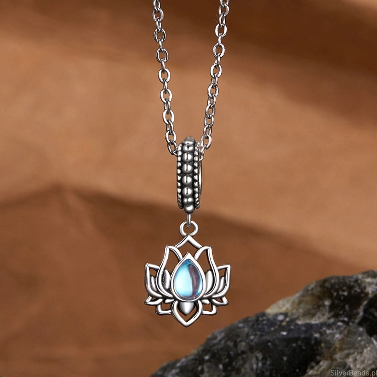 SCC2847+SCA010(1).jpg