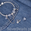 koloekcja charmsów ze srebra 925 dla osoby która tworzy ubrania.jpg