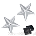Kopia Eleganckie prezentowe pudełeczko gratis. Kolczyki  delikatne gwiazdki
