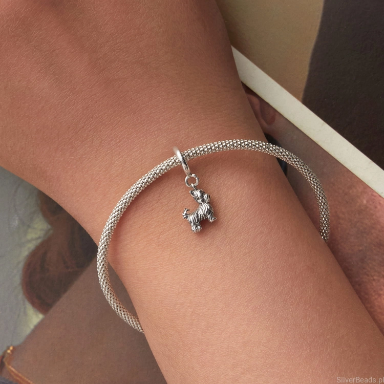 srebrny charms próba 925 piesek rasy YORK