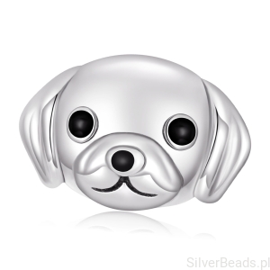 Srebrny charms piesek GOLDEN RETRIEVER srebro 925 koralik beads