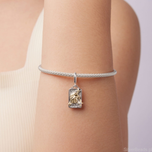 Charms zodiakalny lew z fakturowanym tłem i złotymi detalami.