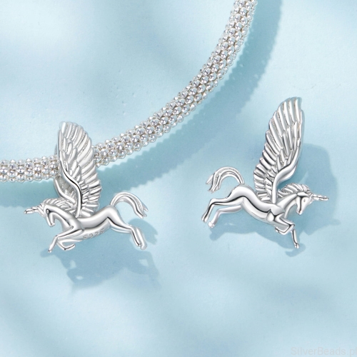 charms-magiczny-konik-srebro925.jpg