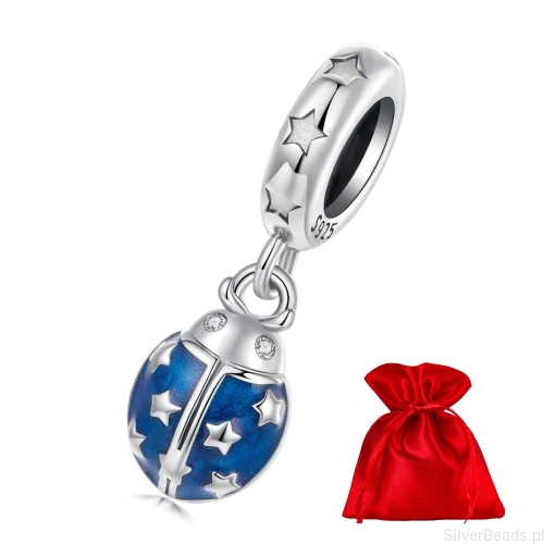 charms-biedronka-szczescie-bizuteria.jpg