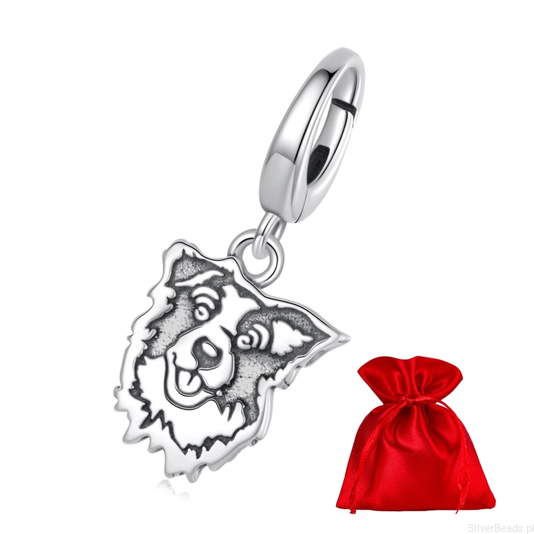 charms-pies-border-collie-srebro925.jpg