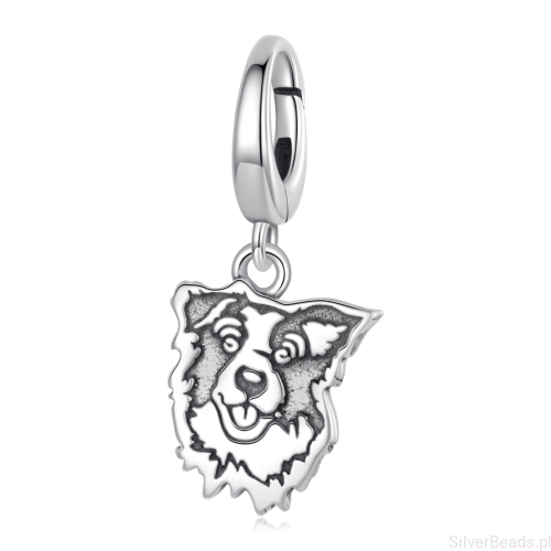 charms-srebrny-border-collie-pies.jpg