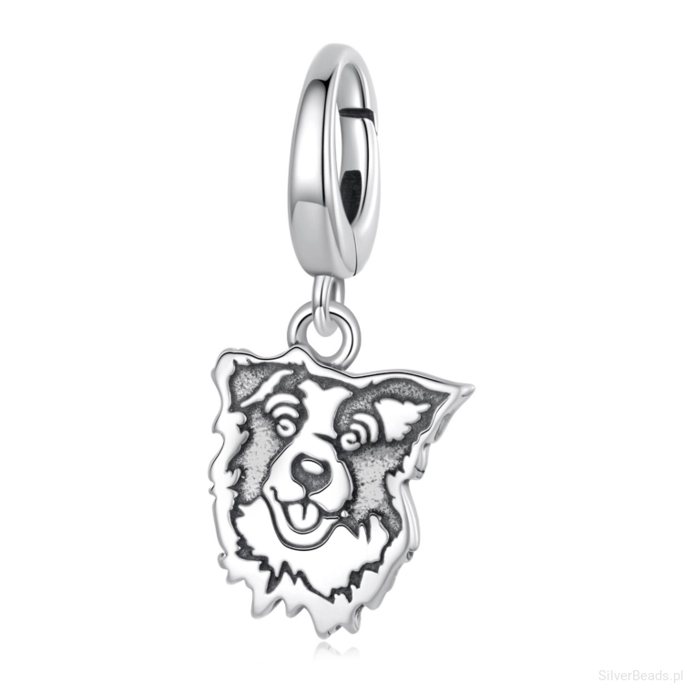 charms-srebrny-border-collie-pies.jpg