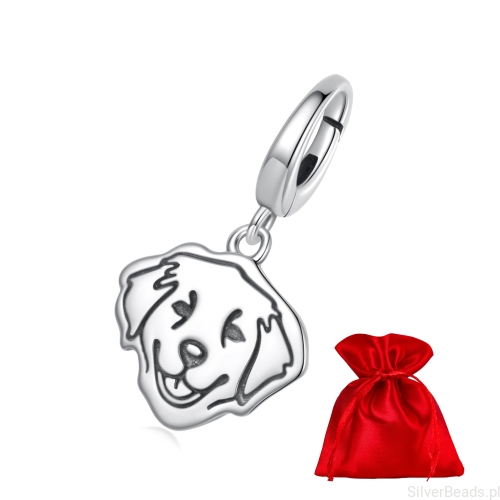 charms-pies-golden-retriever-srebro925.jpg
