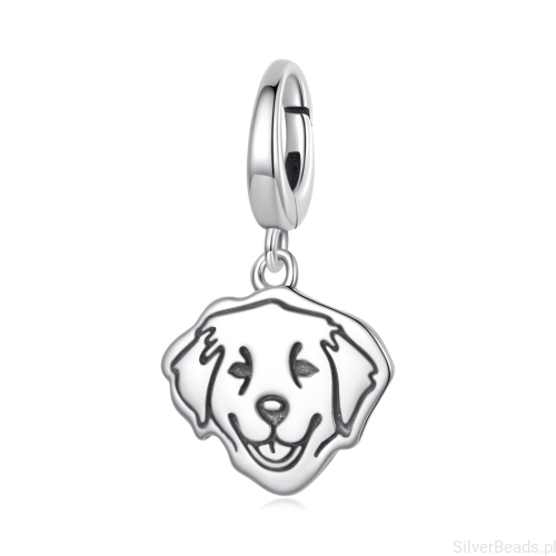 charms-srebrny-golden-retriever-pies.jpg