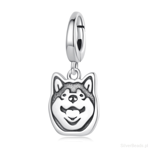 charms-srebrny-shiba-inu-pies.jpg