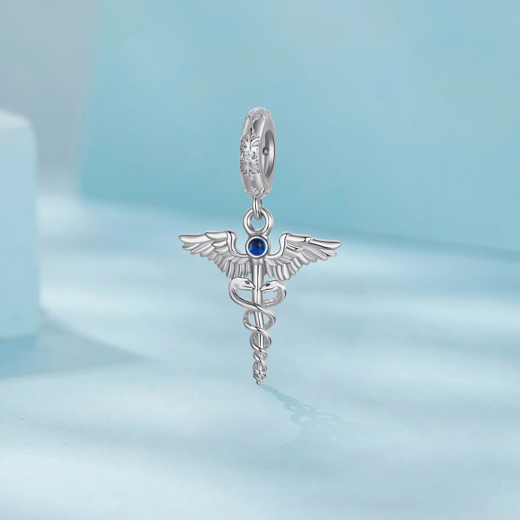 charms-skrzydla-weze-elegancki.jpg