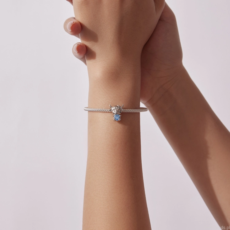 charms-byk-symbol-sily.jpg