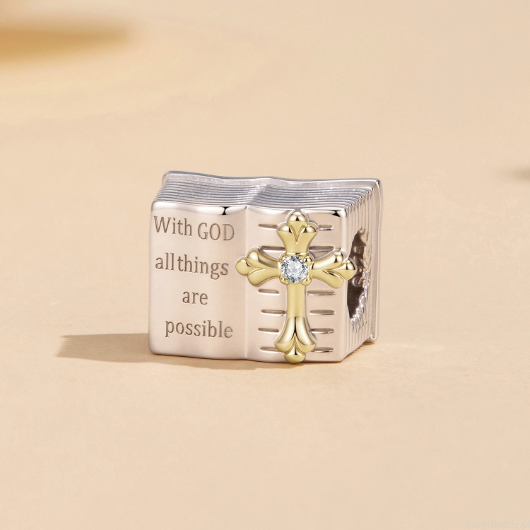 biblia-z-krzyzem-charms.jpg