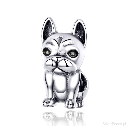 pies buldog charms g111.jpg