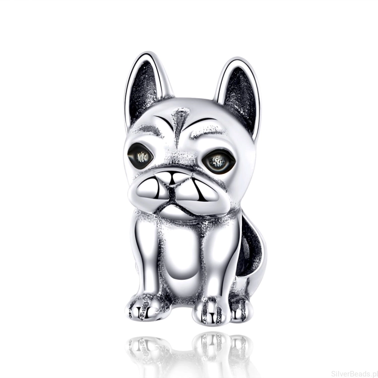 pies buldog charms g111.jpg