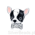 pies chihuahua srebrny charms g112.jpg