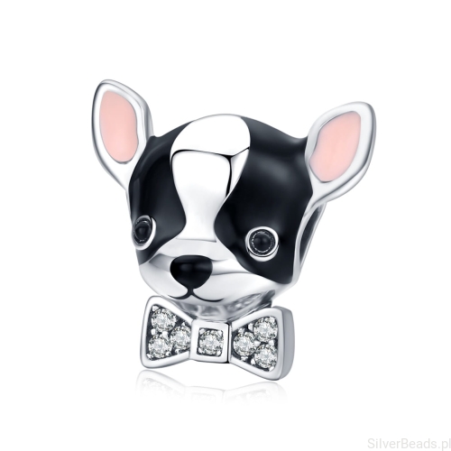pies chihuahua srebrny charms g112.jpg