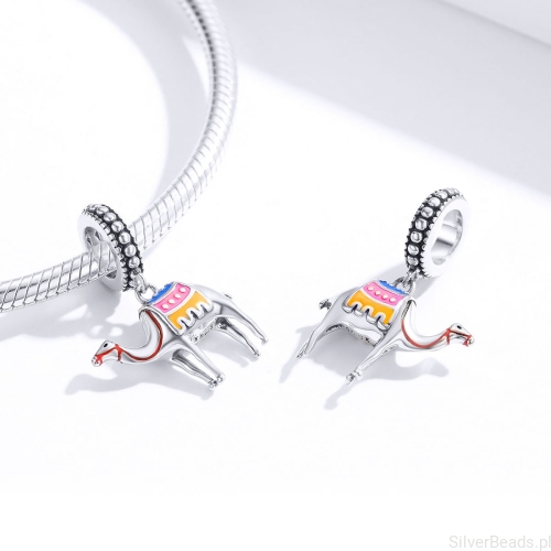 charms srebro G135 .jpg