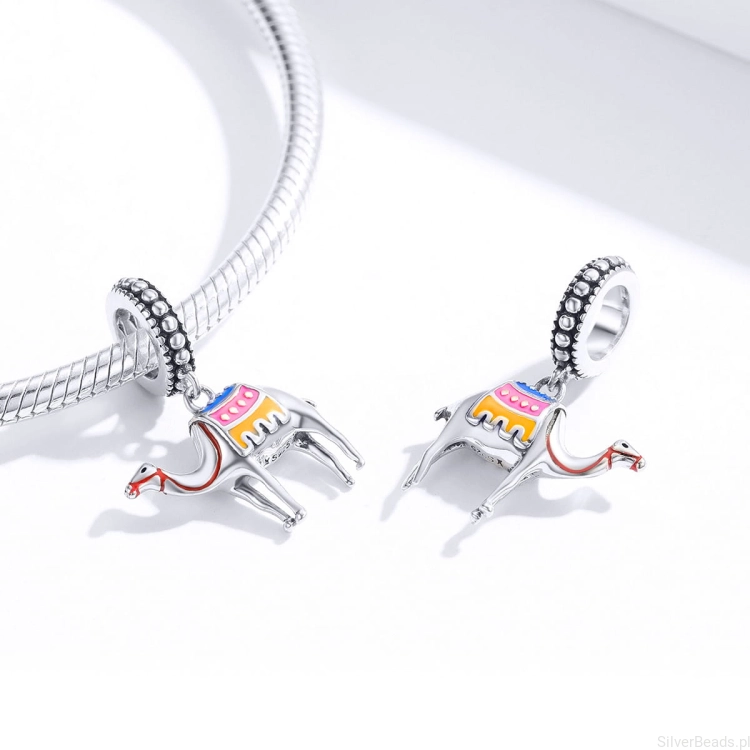 charms srebro G135 .jpg