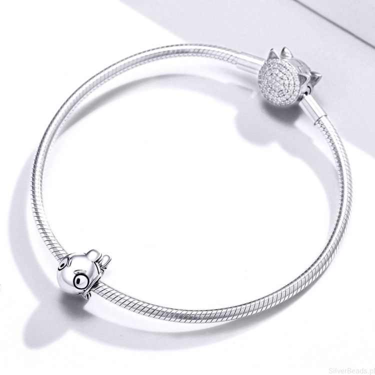 G155 charms srebro.jpg
