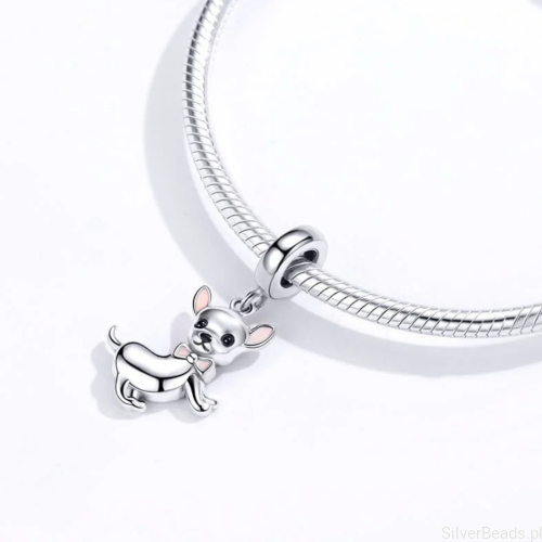 srebrny charms chihuahua