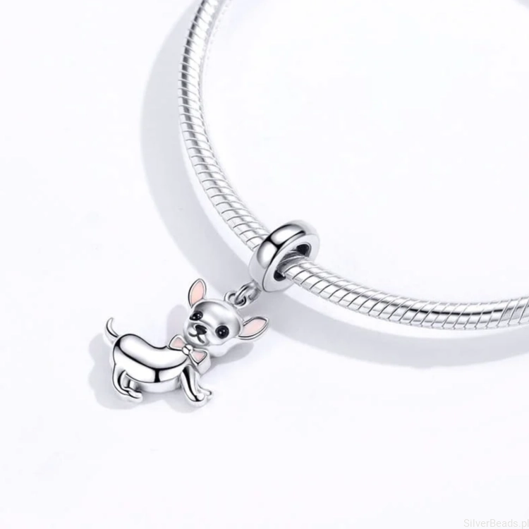 srebrny charms chihuahua