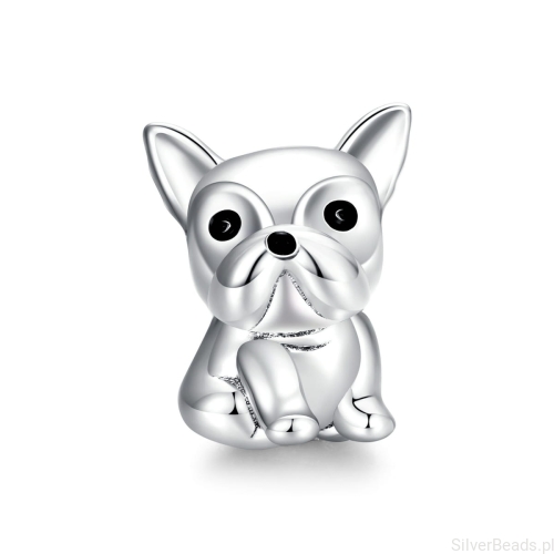 G190 charms buldog.jpg