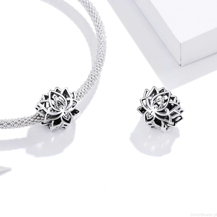 charms srebro G206.jpg