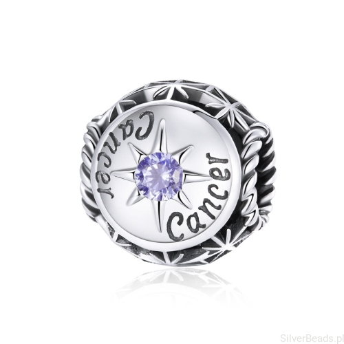 rak charms G211.jpg