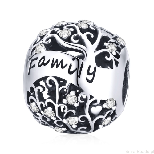 Charms symbol rodziny wykonany ze srebra 925 i kryształków G352.jpg