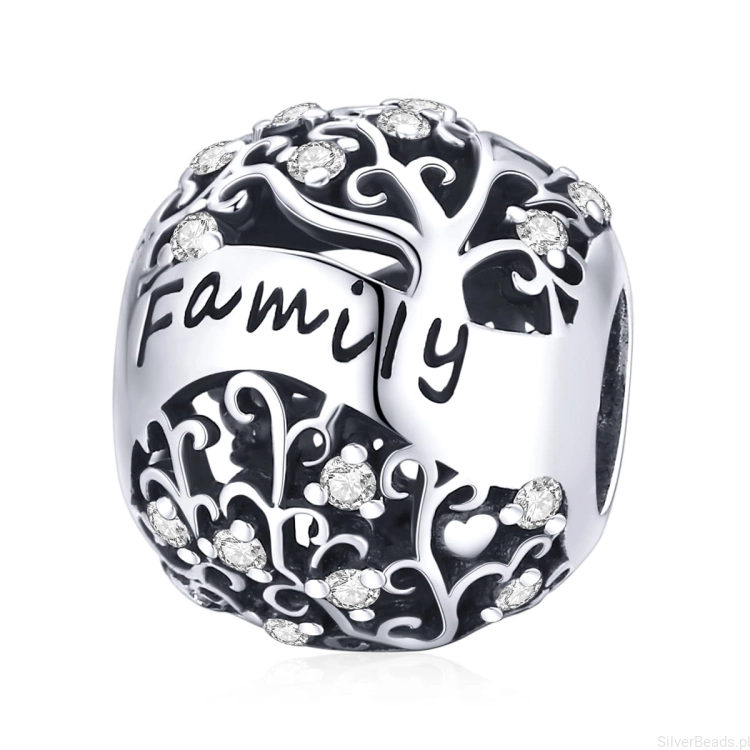 Charms symbol rodziny wykonany ze srebra 925 i kryształków G352.jpg