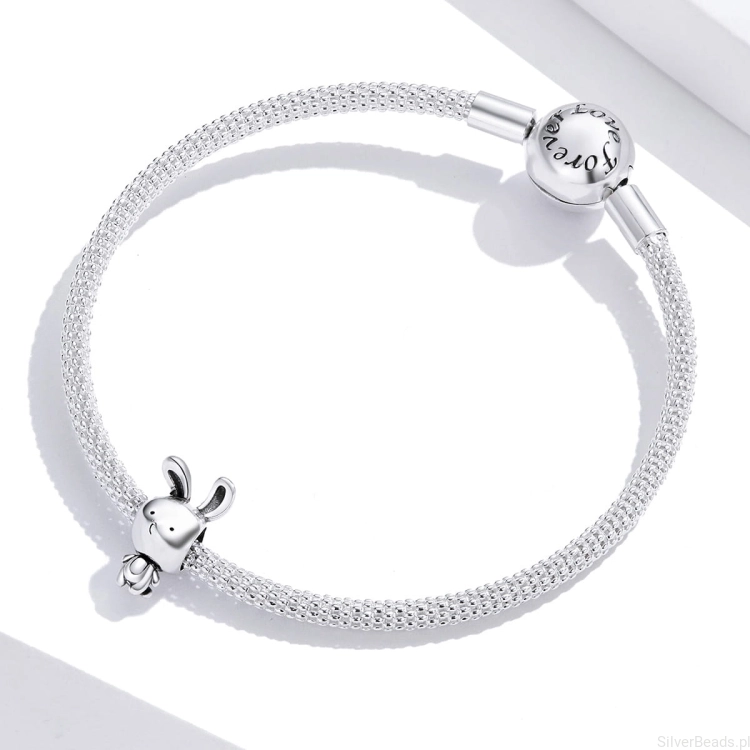 charms srebro G171.jpg